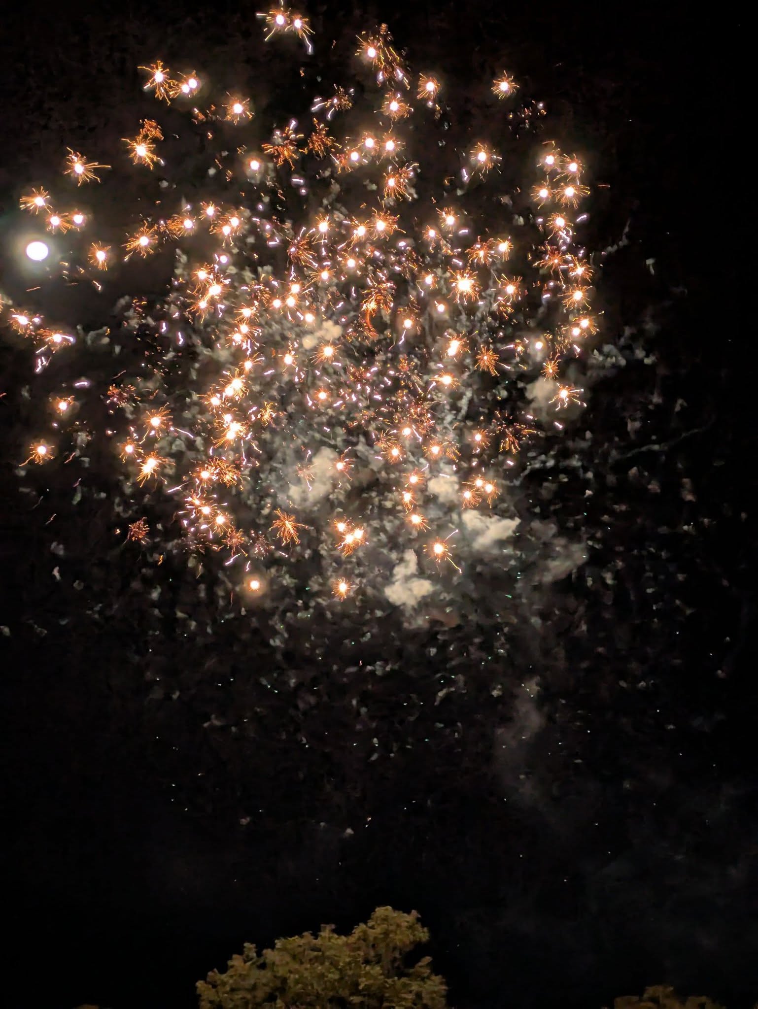 Fireworks burst over Oxley